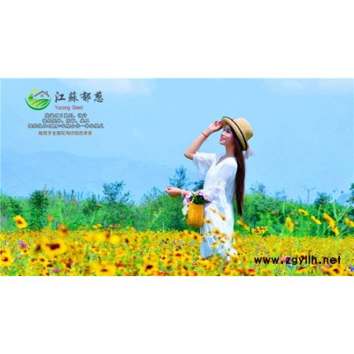 棕櫚種子種植技術(shù)方法...高發(fā)芽率