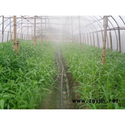 開遠節水滴灌-潤成節水灌溉多少錢-山地節水滴灌哪家便宜