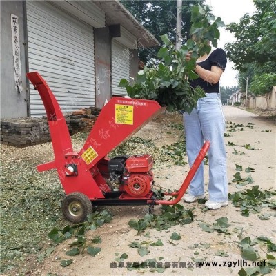 大型手推式移動便捷苗圃園樹枝粉碎機 手推葡萄藤削片機1