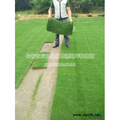 句容果嶺草坪