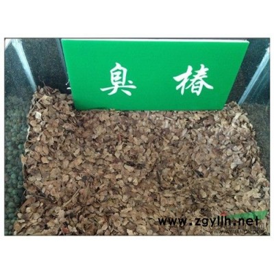 大葉女貞種子價格