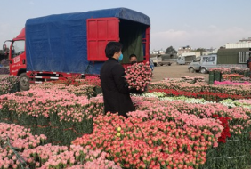 第十八屆中國(guó)林產(chǎn)品交易會(huì)