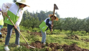 廣東植樹造林保護母親河