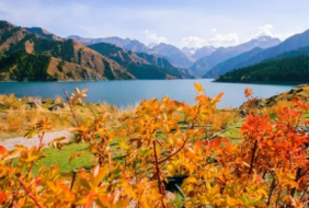 第21屆中國新疆國際農業博覽會