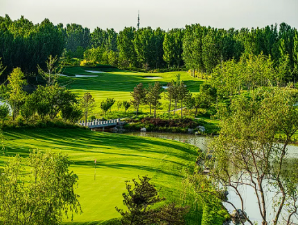 湖南平江多舉措加強松疫木監管