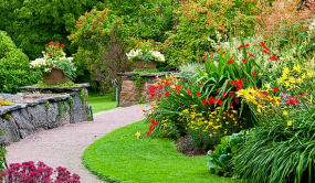 山東冠縣召開首次野生動植物保護部門聯席會議