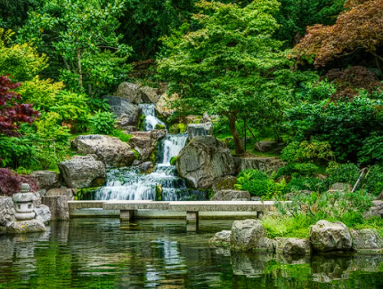 山西太岳林局已經完成造林11.8萬畝