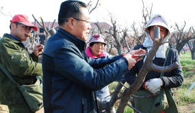 宏順梅花獲山東省博士后創新實踐基地認定