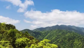 廣東啟動新一輪林草濕調查監測