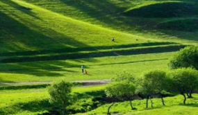陜西森林草原防火工作再創佳績
