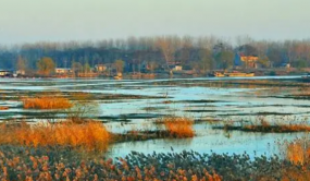 山東舉辦《中華人民共和國濕地保護法》主題宣傳活動