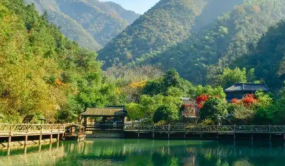 浙江部署森林防火“五大能力提升”行動