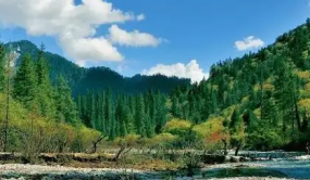 四川開展全省自然保護地管理和體系建設培訓