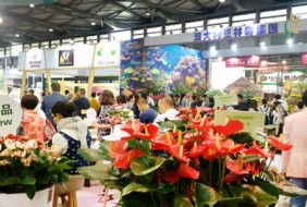 廣州國(guó)際花卉園藝及盆景展覽會(huì)