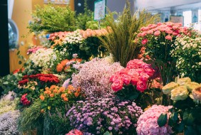 昆明國(guó)際花卉園藝展覽會(huì) IFEX