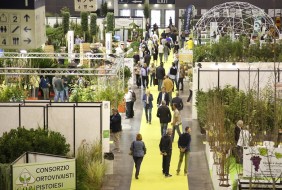 2023年意大利帕多瓦園林園藝展覽會